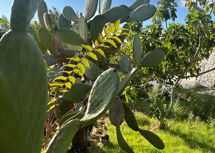 Casa vacanze Il Sole D'itria - Private Pool With Garden In The Itria Valley Ostuni
