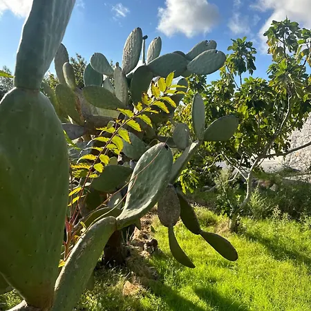 בית נופש Il Sole D'itria אוסטוני